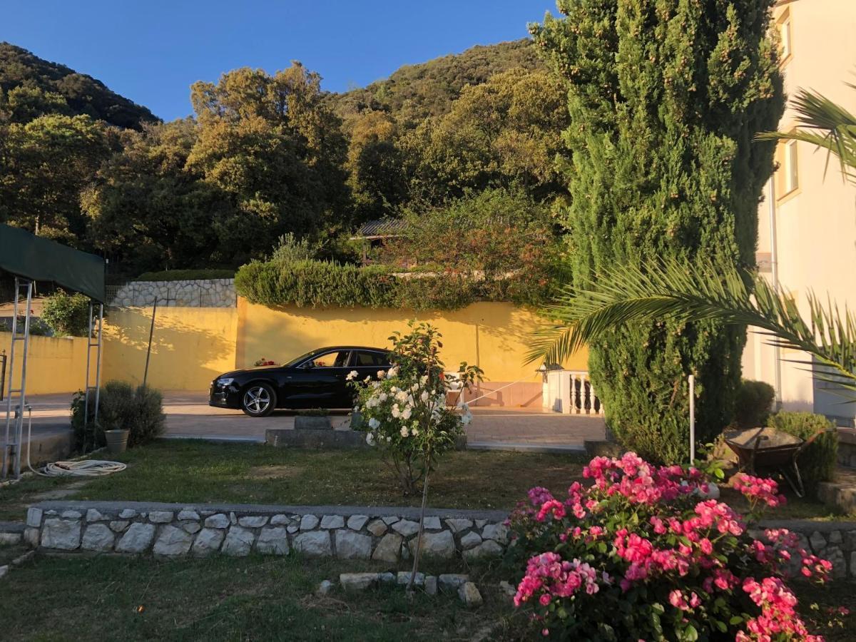 Fafandjel Apartament